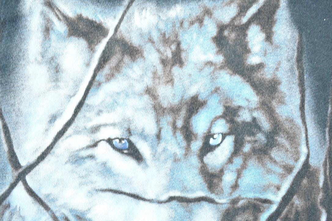 Vintage 1990s 2 Wolves Nature Crewneck Men's XL - Image 5