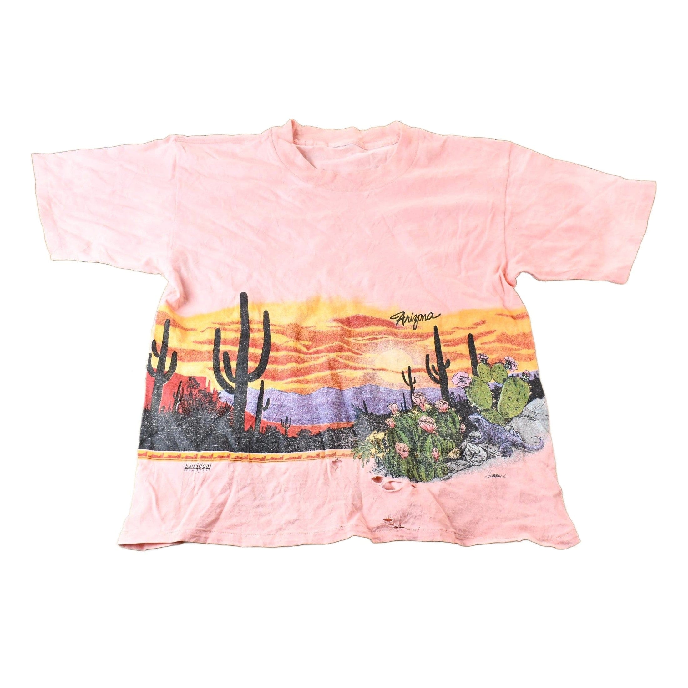 Vintage 1990s Arizona USA Western Desert Vista Souvenir Single Stitch Graphic T-Shirt Men's S