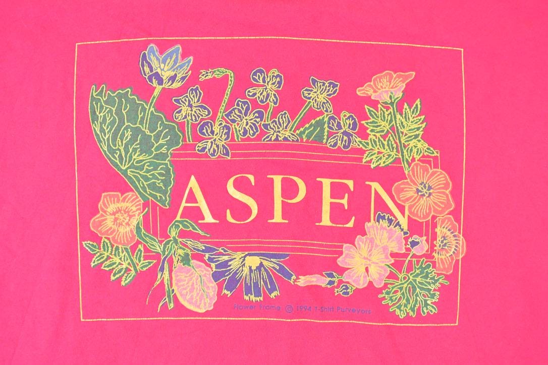 Vintage 1990s Aspen Souvenir Travel T-Shirt Men's XL - Image 3