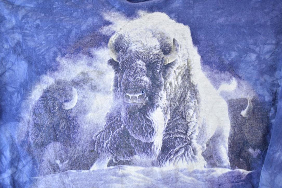 Vintage 1990s Buffalo The Mountain Crewneck Men's XL - Image 4