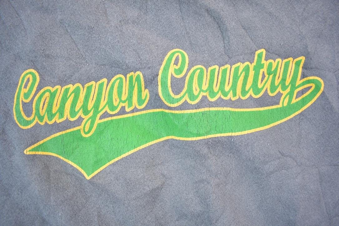 Vintage 1990s Canyon Country Men's Small - Image 3
