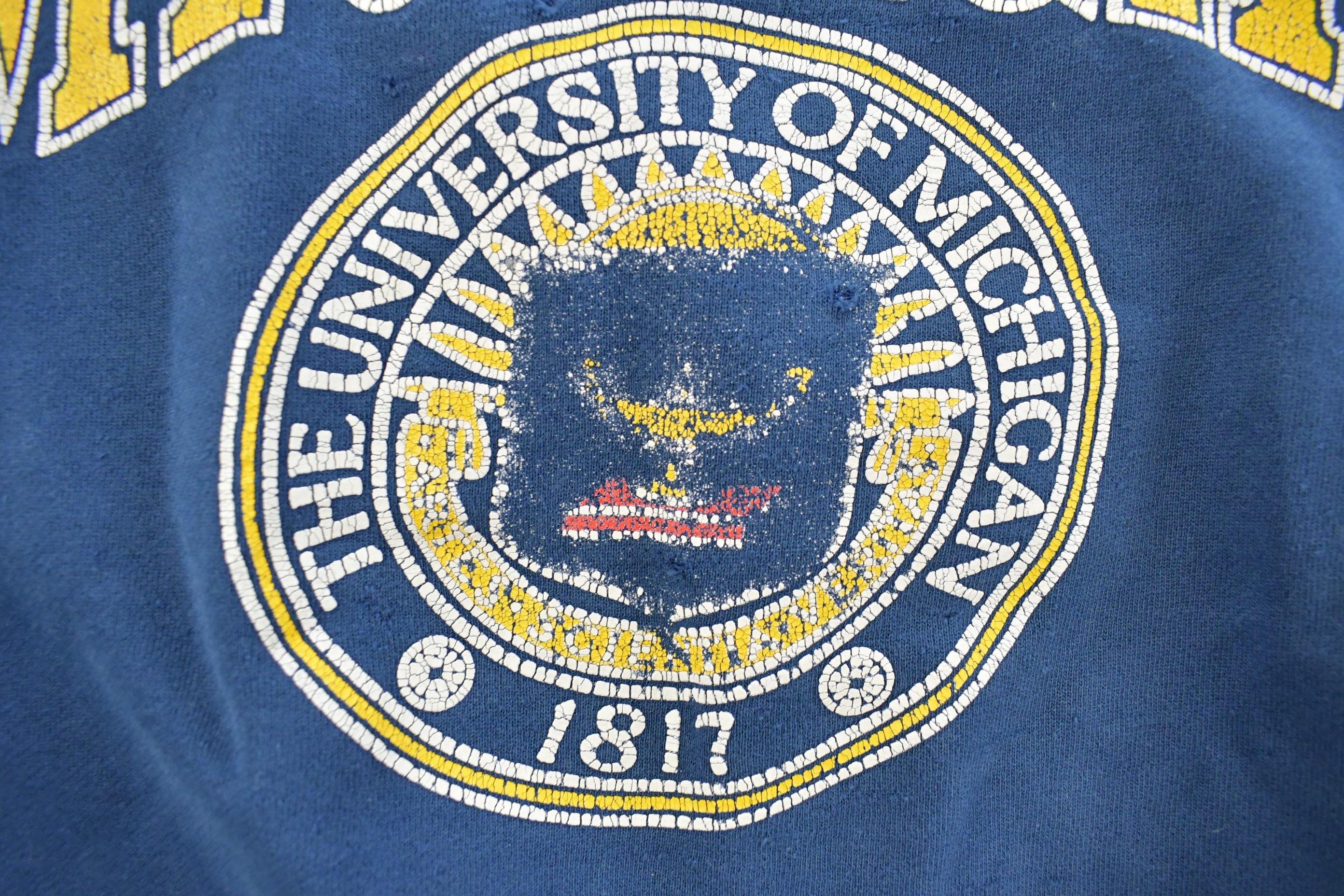 Vintage 1990s Distressed University Of Michigan Wolverines Collegiate Crewneck Sweatshirt Men's Large - Image 6