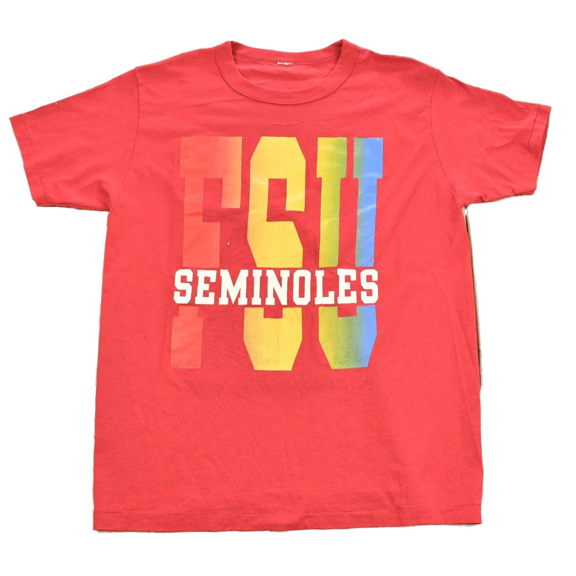 Vintage 1990s Florida State University Seminoles Collegiate T-Shirt Men's Medium