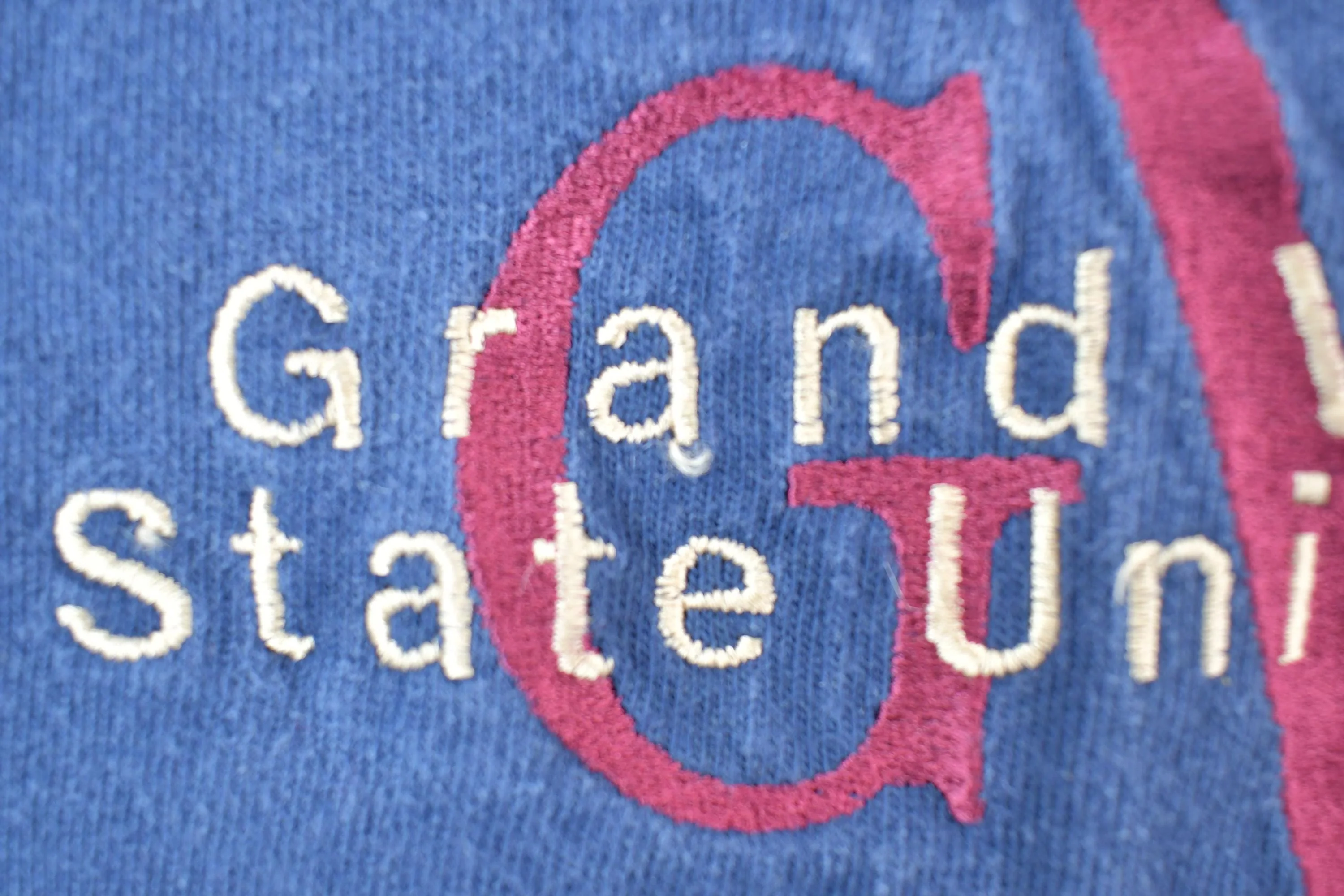 Vintage 1990s Grand Valley State J America University Collegiate T-Shirt Men's Large - Image 4