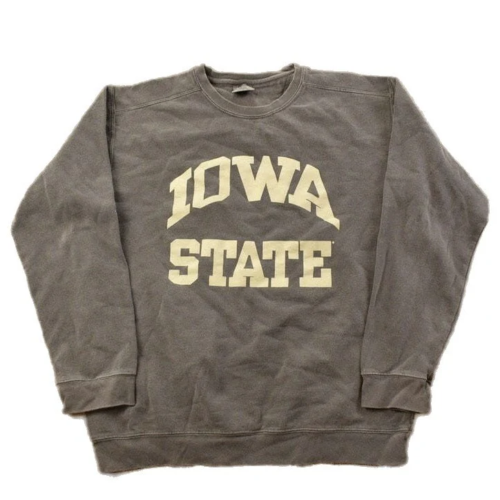 Vintage 1990s Iowa State University Collegiate Crewneck Men's Large