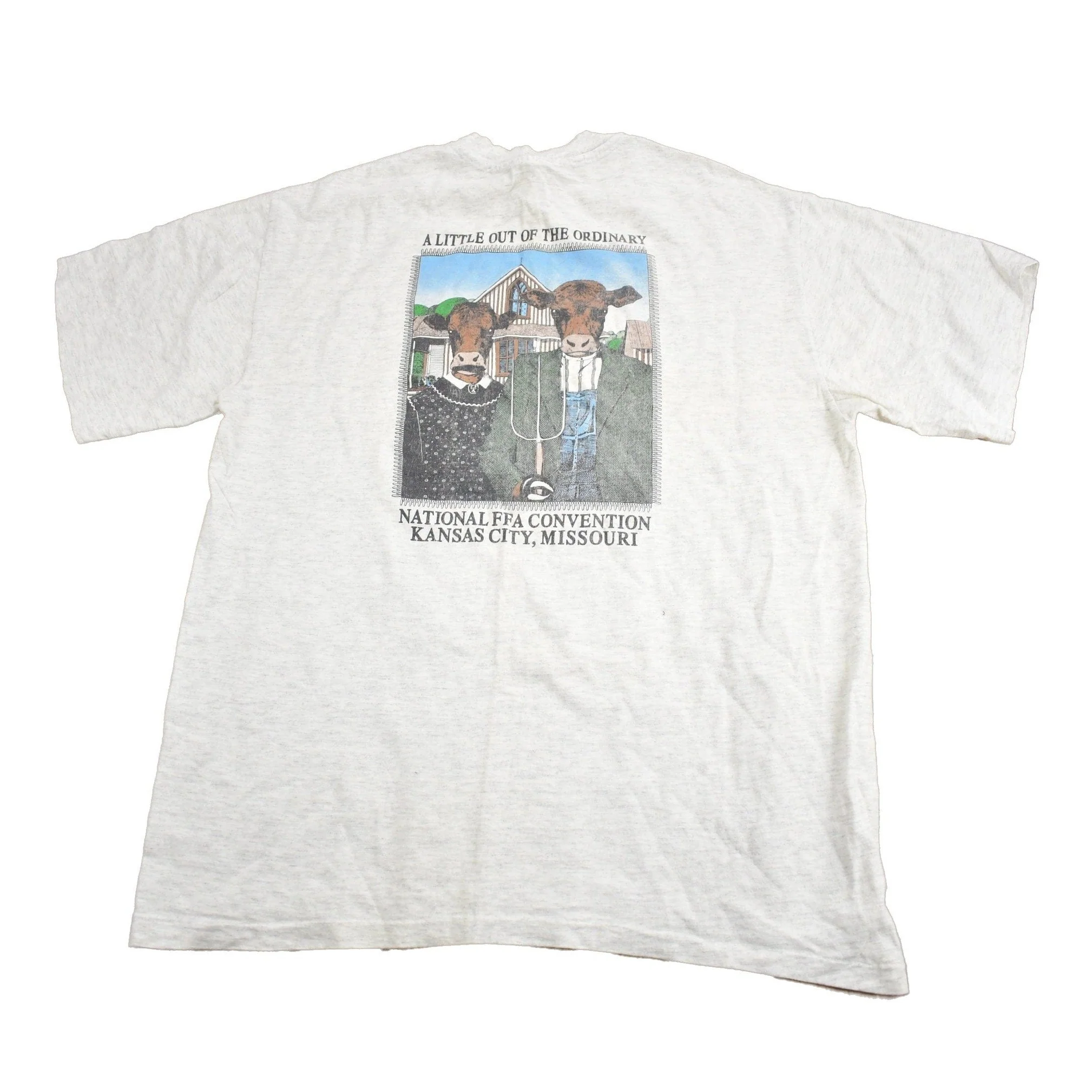 Vintage 1990s National FFA Convention Graphic T Shirt Men's XL