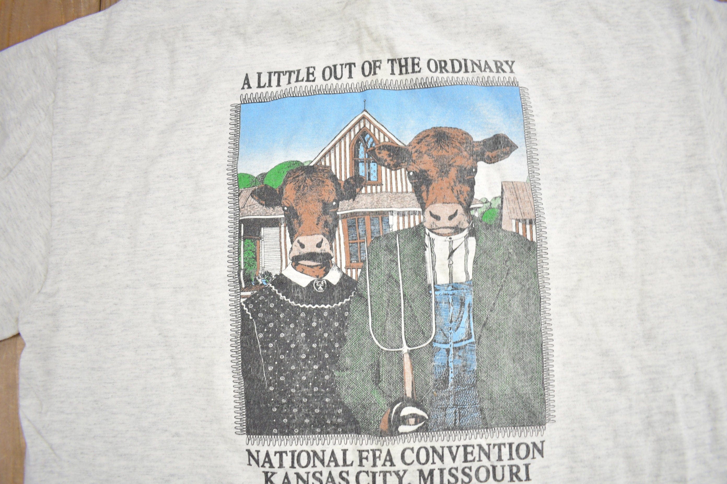 Vintage 1990s National FFA Convention Graphic T Shirt Men's XL - Image 3