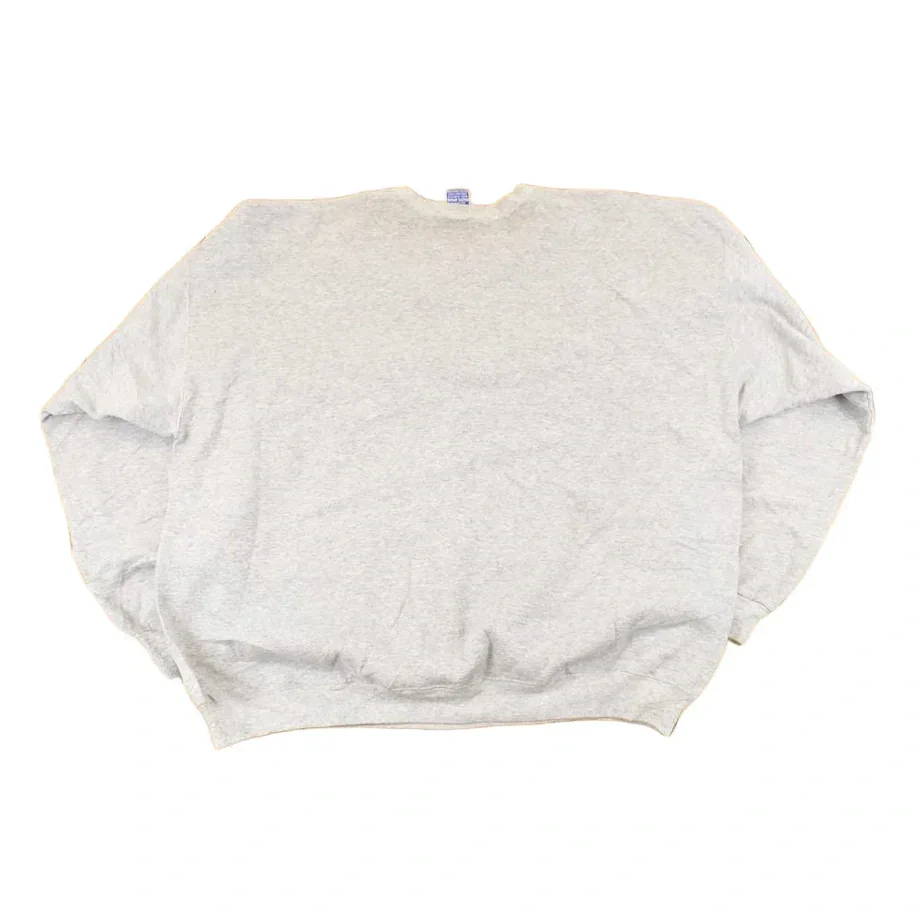 Vintage 1990s Parker Prairies Panthers Champion Graphic Print Crewneck Sweatshirt Men's XL - Image 2
