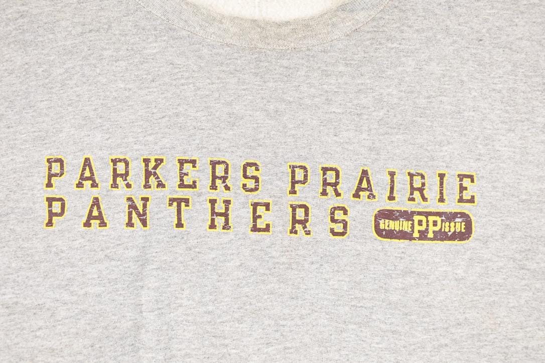 Vintage 1990s Parker Prairies Panthers Champion Graphic Print Crewneck Sweatshirt Men's XL - Image 3