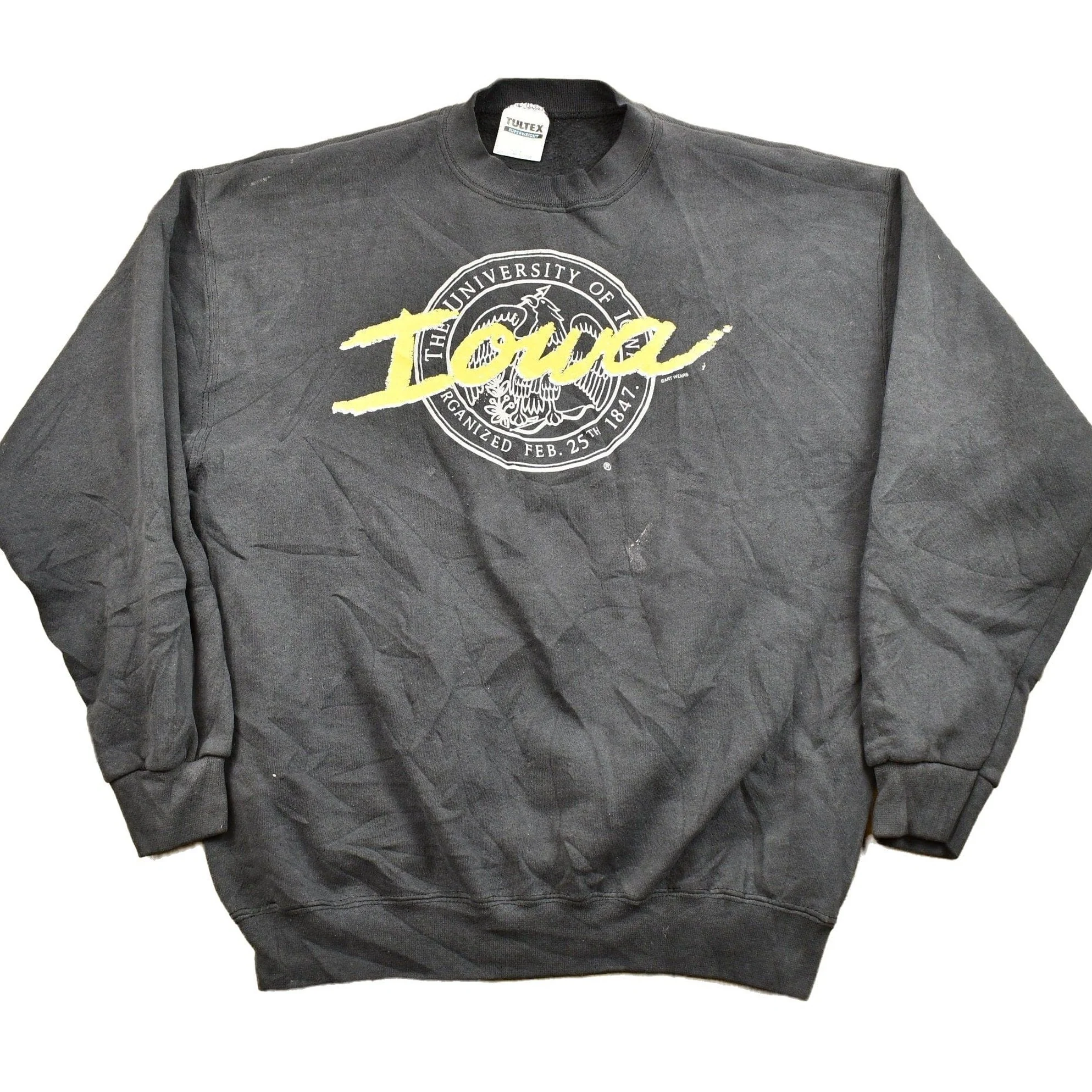 Vintage 1990s University of Iowa Collegiate Crewneck Men's L