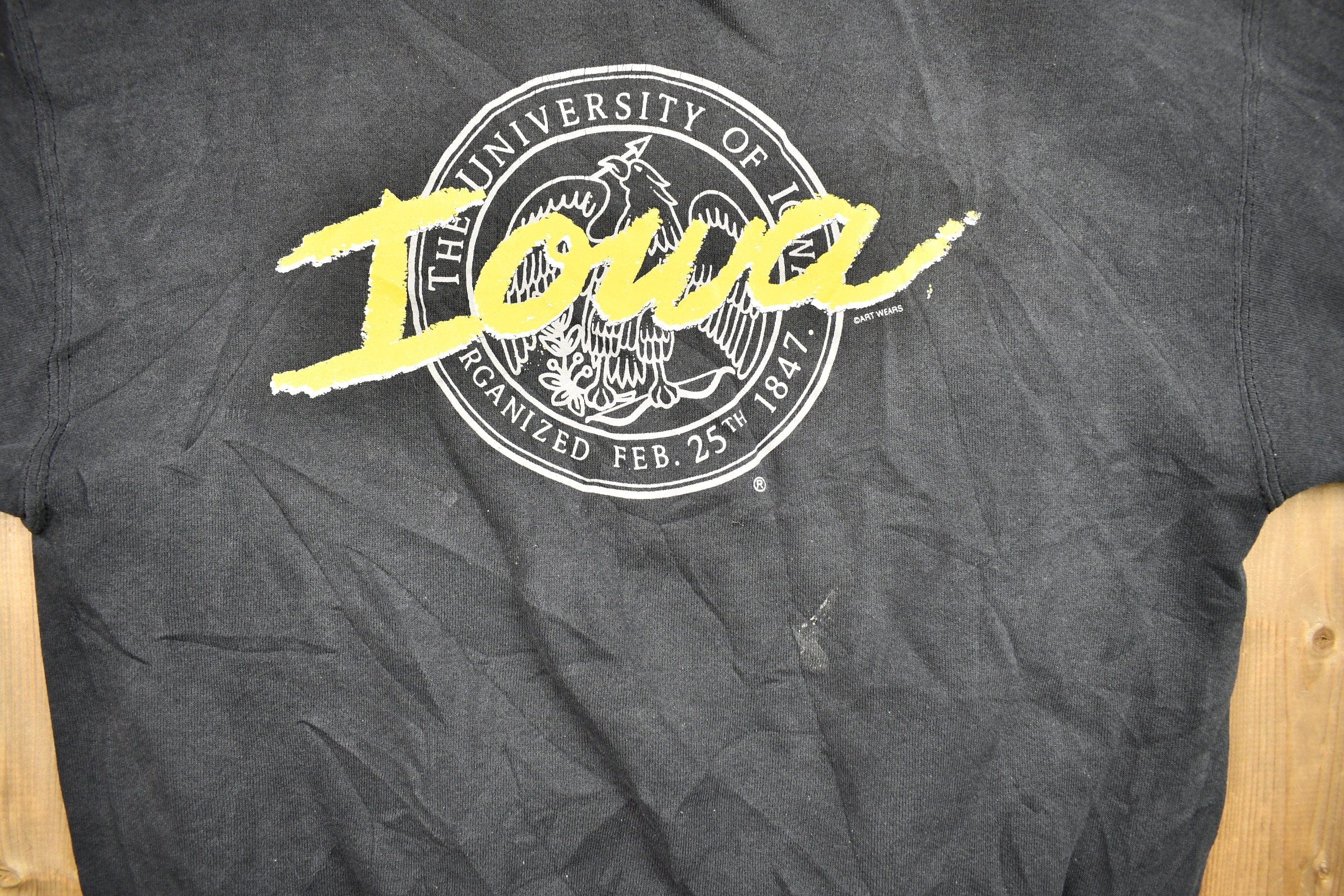 Vintage 1990s University of Iowa Collegiate Crewneck Men's L - Image 3