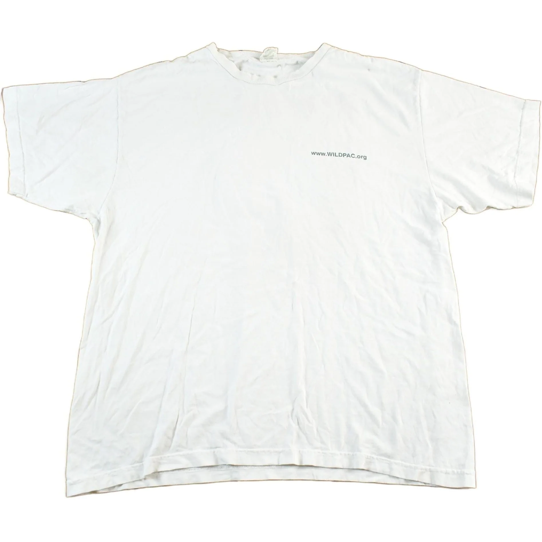 Vintage 2000s Patagonia Wildpac Organic Cotton T-Shirt Men's Large