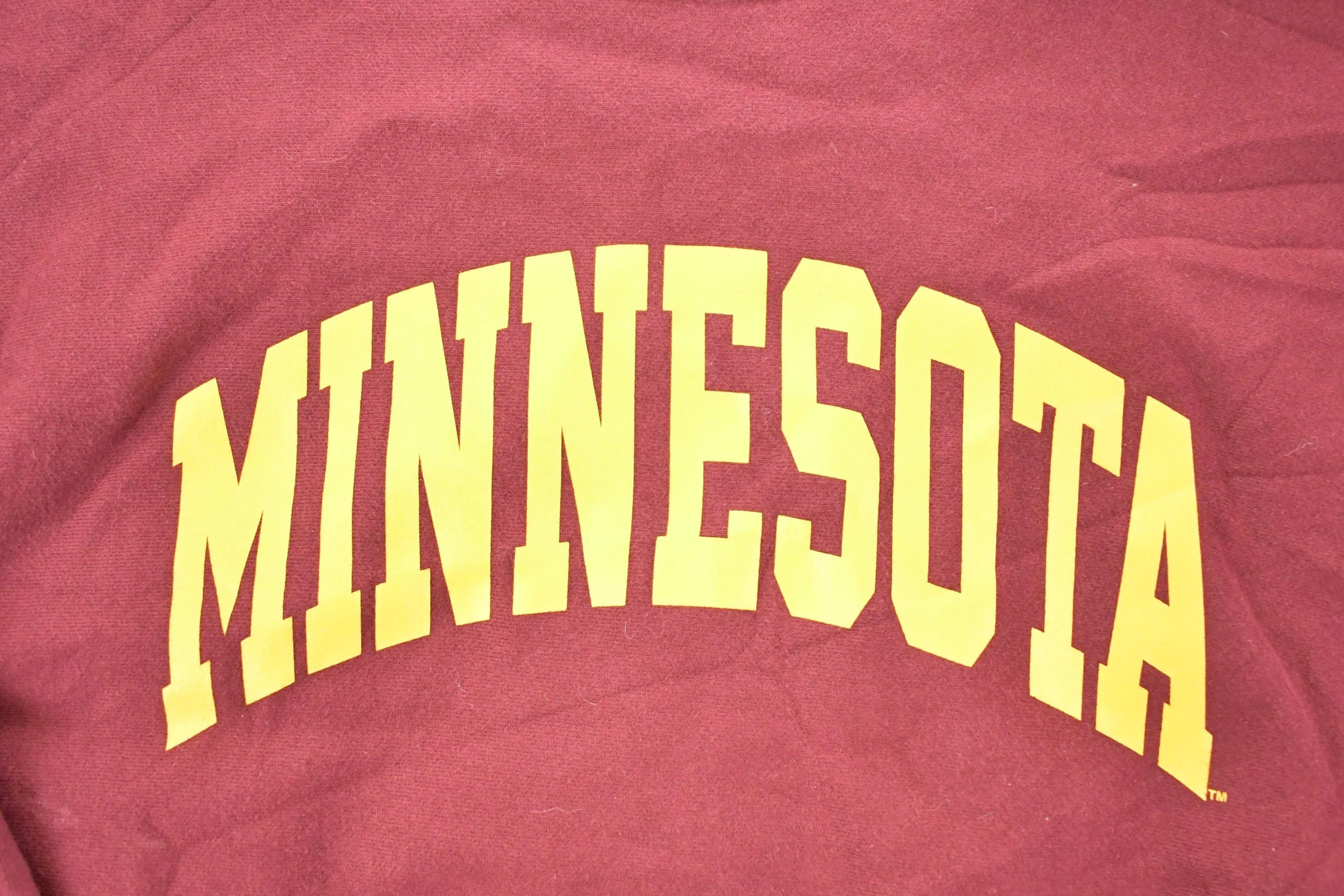 Vintage Y2K Champion Premium Reverse Weave Minnesota Crewneck Sweatshirt Men's XXL - Image 3