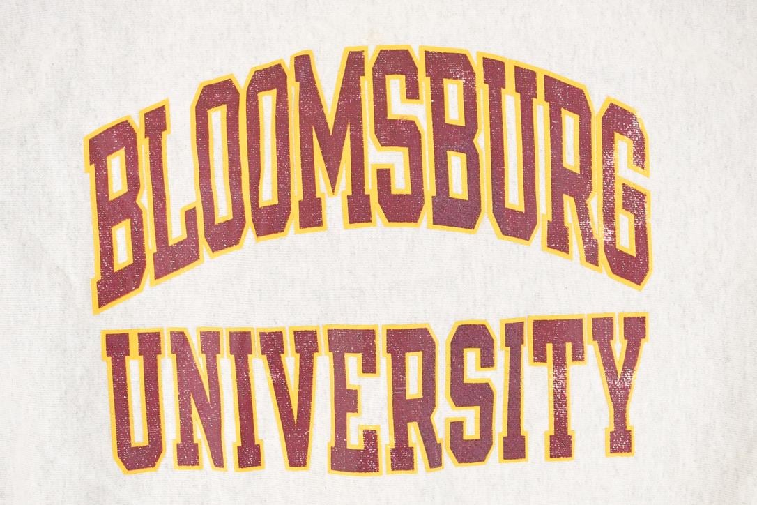 Vintage Y2K Champion Reverse Weave Bloomsburg University Crewneck Sweatshirt Mens L - Image 3