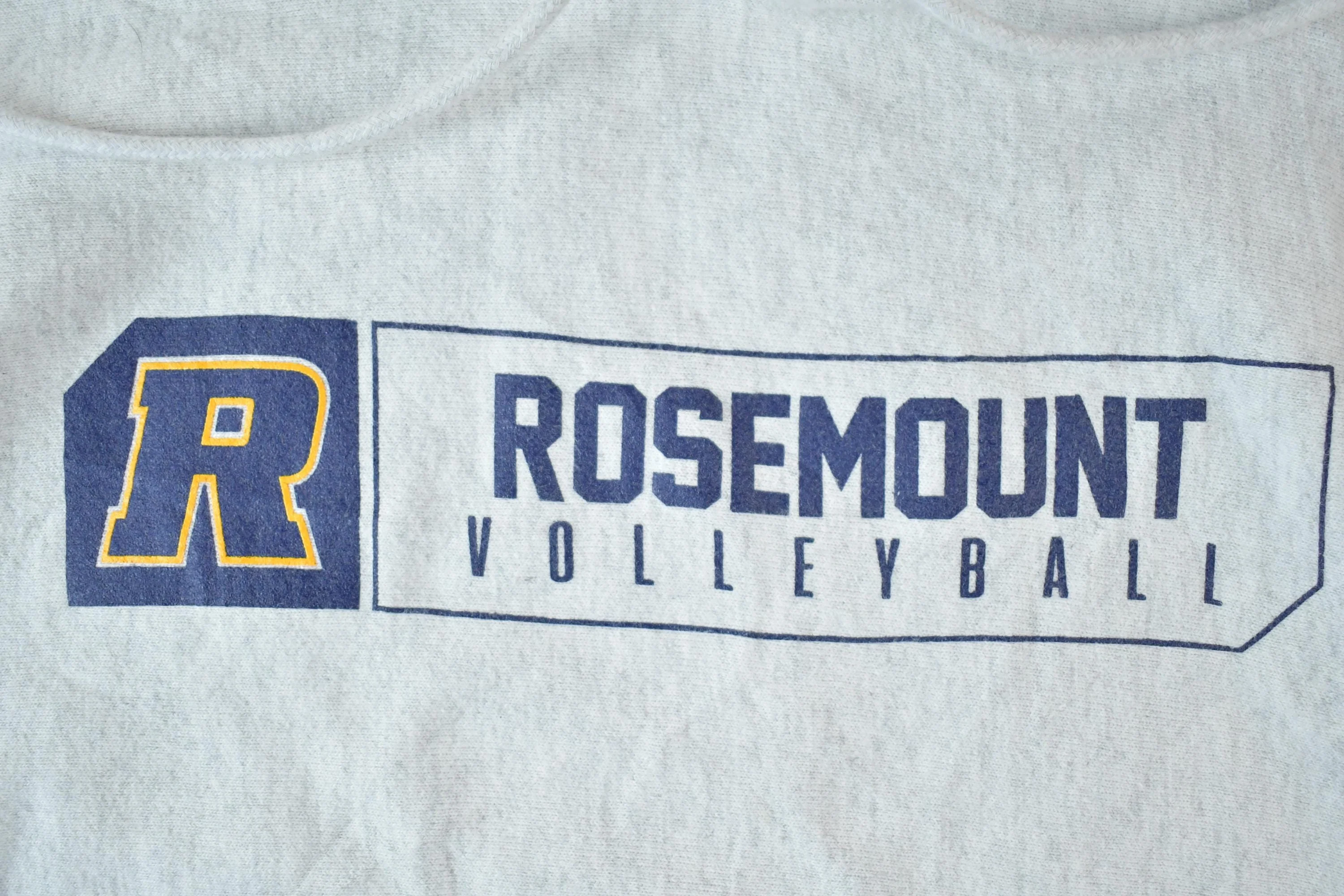 Vintage Y2K Rosemont Volleyball Champion Reverse Weave Hoodie Sweatshirt Men's Medium - Image 4